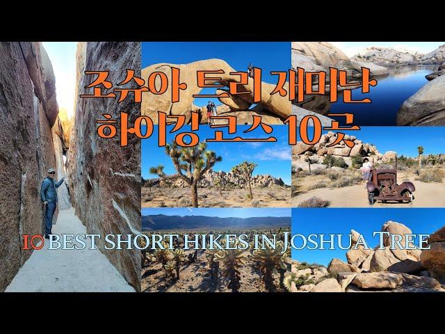 조슈아 트리 국립공원 재미나고 짧은 하이킹 코스10 best short hikes in Joshua Tree National Park