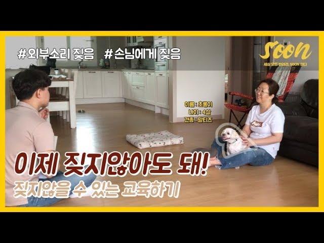 [SOON] 집에 온 손님을 보면 짖는 강아지 교육하는 법!