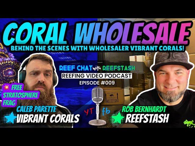 Coral Wholesale Secrets: The Inside Scoop with Caleb Parette