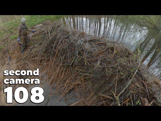 Manual Beaver Dam Removal No.108 - Collapsing Beaver Dam - Second Camera