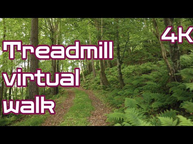 Treadmill virtual Walk / Hike / Run • 4K virtual scenery • Forest walk • #Scotland