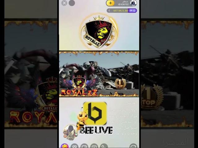 هدية ROYALzZ برنامج BEELIVE تصميم شامخ SPICY AGENCY TEAM