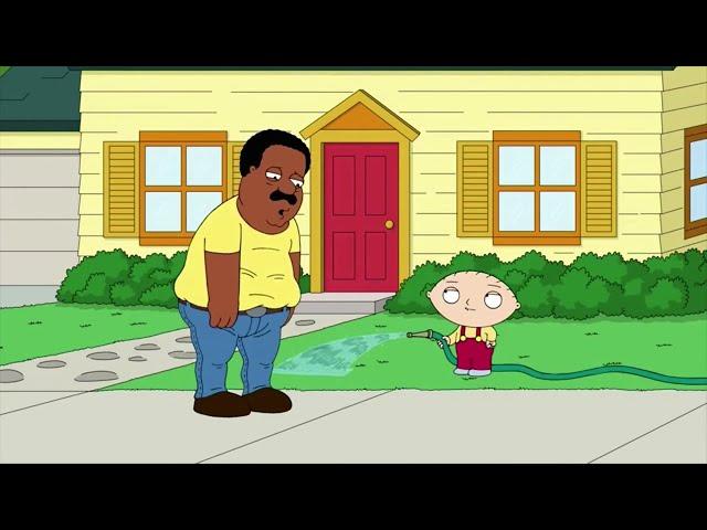 Family Guy but people can understand Stewie
