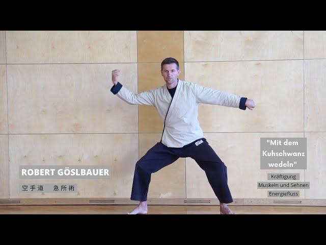 Qi Gong mit Robert Göslbauer | Energie positiv lenken | Baha Balance