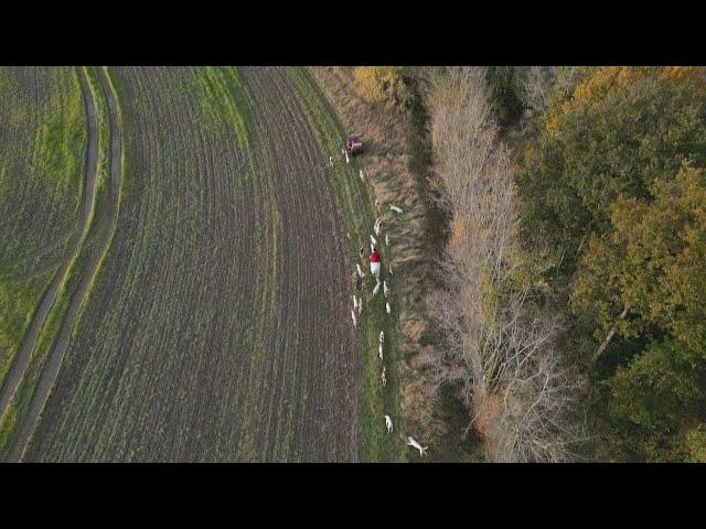 'Hunt saboteurs' try to outfox hunters in England's countryside | AFP