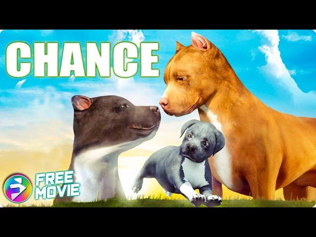 CHANCE | Full Emotional Drama Movie | Brutal world of underground dog fighting