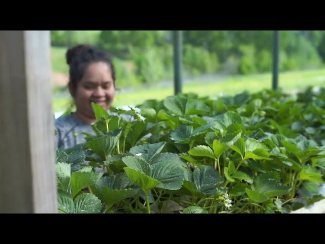 Doyles Country Gardens- Barrera Family