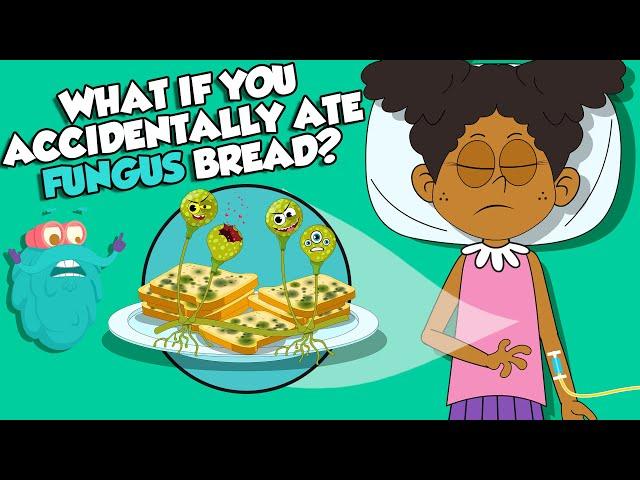 What If You Ate Moldy Bread By ACCIDENT? | Types Of Fungi | The Dr Binocs Show | Peekaboo Kidz