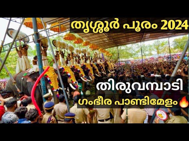 Thrissur Pooram 2024 | Thiruvambadi Desam Pandi Melam| Cheranalloor Sankarankutty Marar