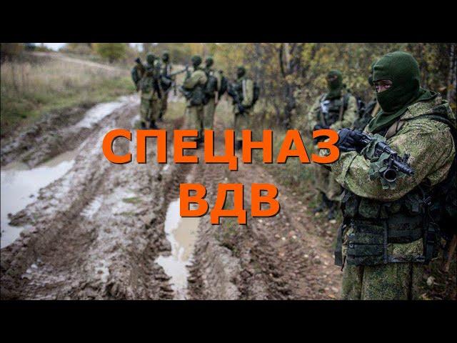 Спецназ ВДВ. 45-я гвардейская отдельная бригада спецназа ВДВ.