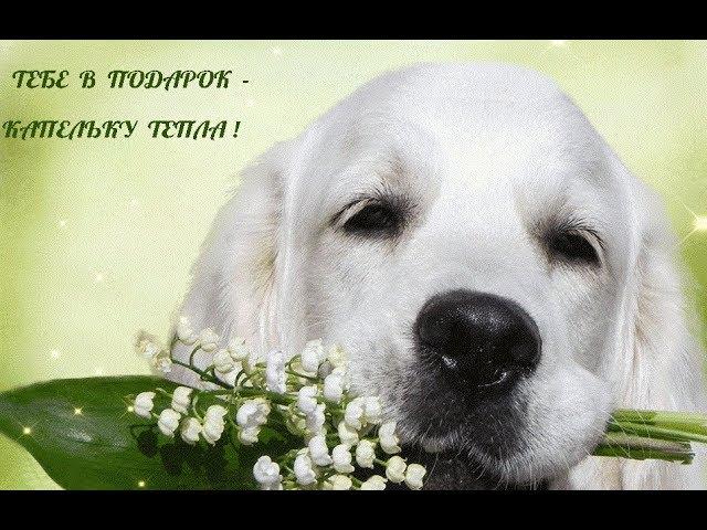 Всё будет хорошо, ты только верь!!! Позитив для друзей.
