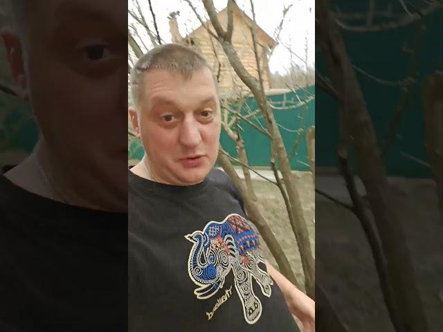 Утренняя работка