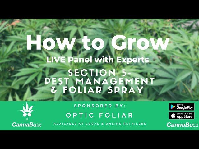 Cannabis Pest Management & Foliar Spray Tips - CannaBuzz LIVE