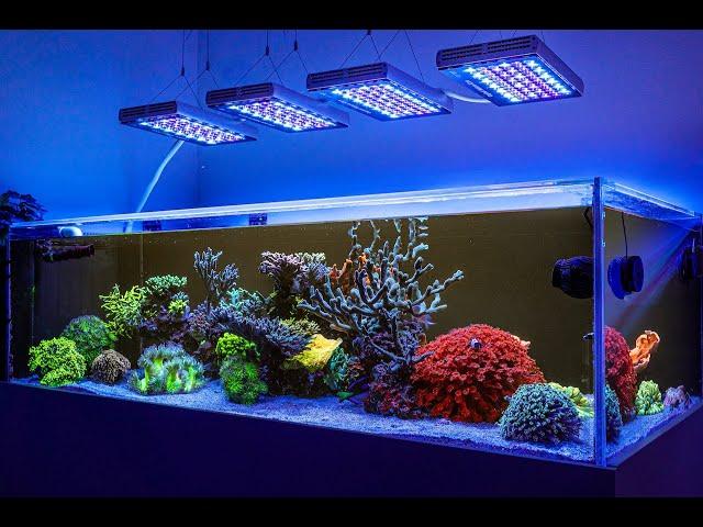 Orphek Natura Icon: Sun & Moon Sync Reef LED with Superior Spectrum & Blending Excellence