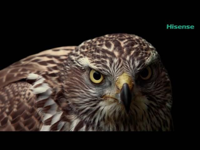 Hisense The Amazing Beauty of the Planet DEMO UHD 4K