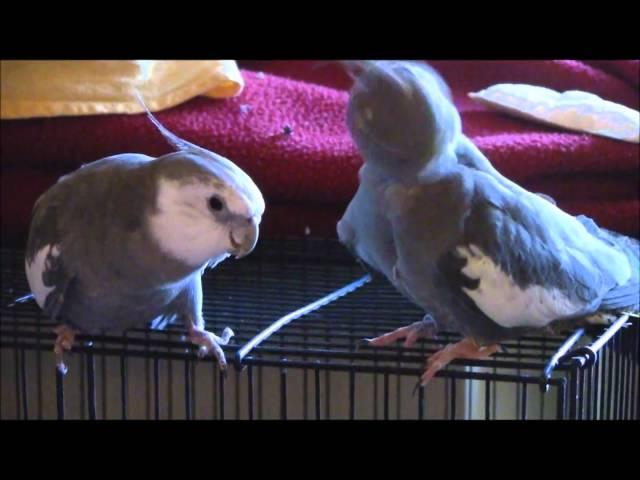 KuChan And NewB Jan 2011