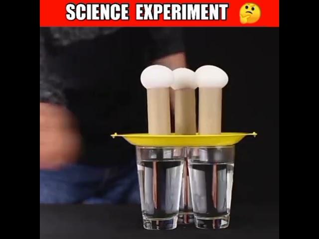 Science के गजब के Experiments #scienceexperiment#sciencefacts #uniquefact