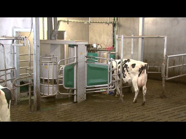GEA Dairy Farming - Erfahrungsbericht mit der neuen Monobox der Familie Valkengoed - Testimonial DE