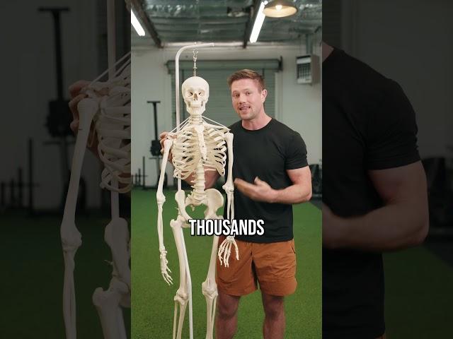 Fix This Muscle To Fix Neck Pain