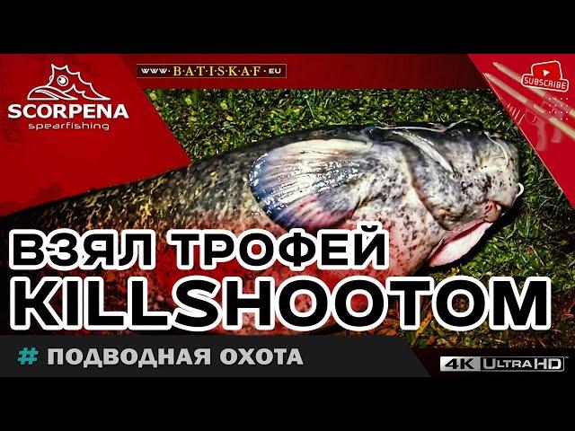 Взял  достойный трофей KILLSHOOTOM  на подводной охоте сплавом