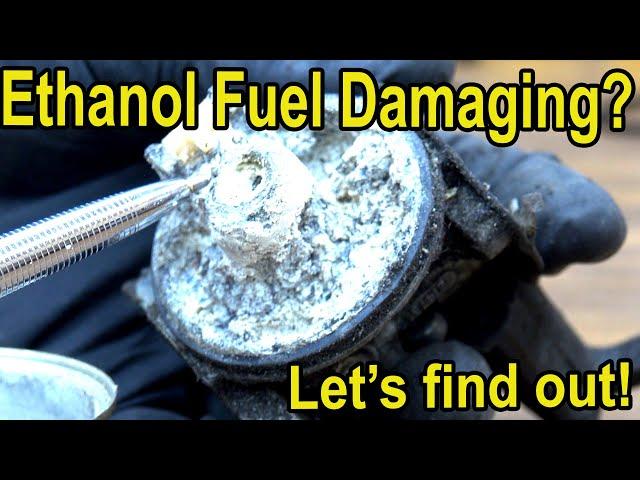 Is Non-Ethanol Gasoline Really Better? See the PROOF!