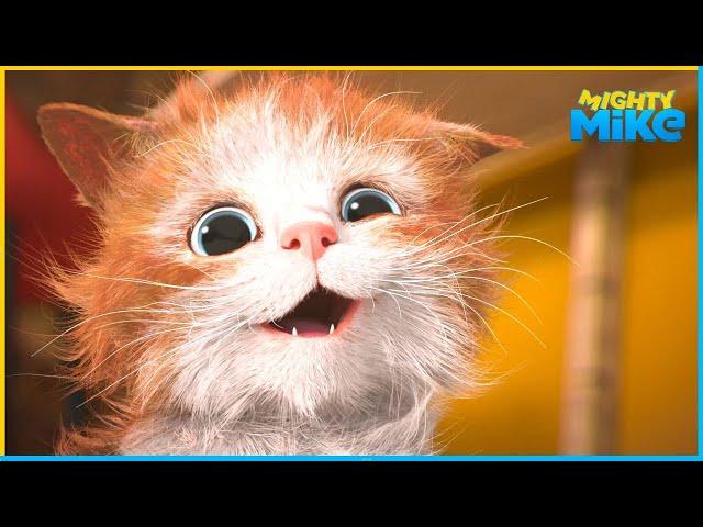 Fluffystein | Mighty Mike | 45' Compilation | Cartoon for Kids