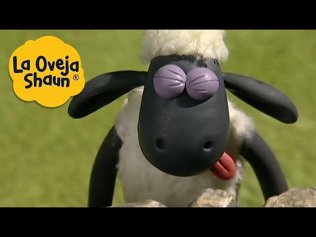La Oveja Shaun  oveja blep  Dibujos animados para niños
