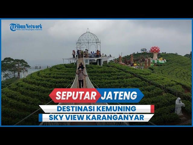 Destinasi Kemuning Sky View Karanganyar, Panorama Hijau Kebun Teh dan Jembatan Goyang