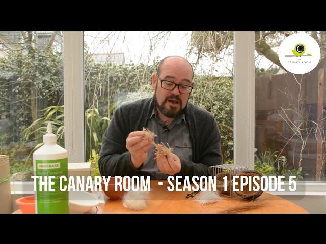 The Canary Room - Season 1 EPISODE  5