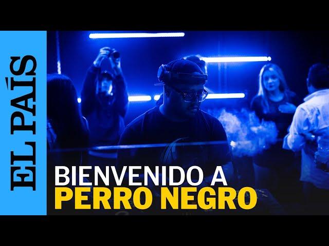 COLOMBIA | Una noche en Perro Negro en Medellín | EL PAÍS