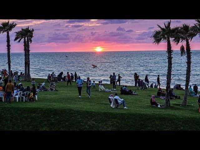 RABAT شوف روعة الجولان بأشهر حي ساحلي مطل على كورنيش العاصمة وكأنك في حديقة نزهة حسان