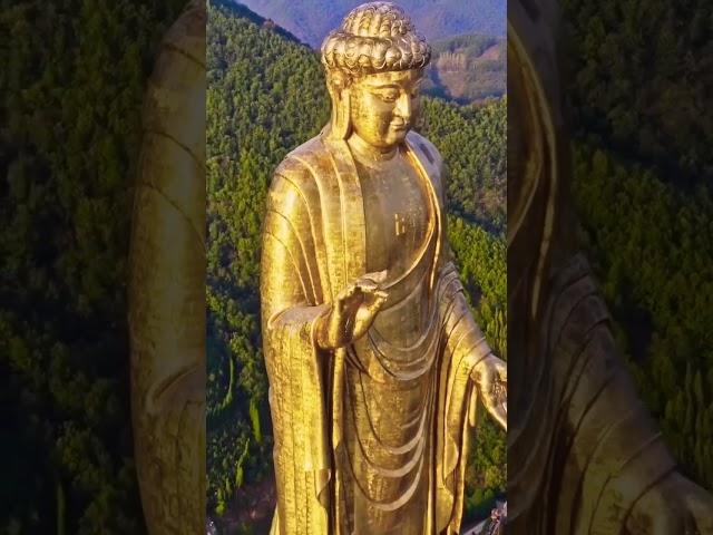 Namo Buddha ️  #shorts #video #buddha