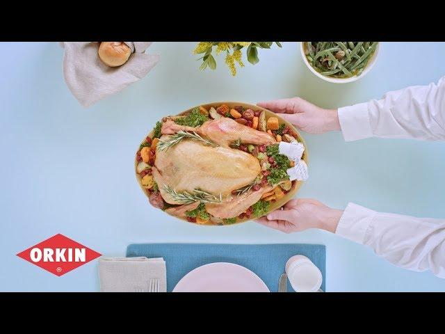 How to Pest-Proof Your Kitchen - Orkin Pest Control