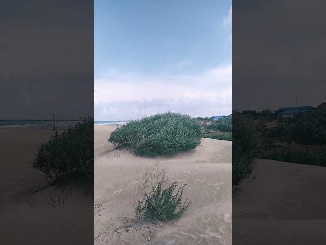 АНАПА, чудесный вид на море // 15 июня 2025 г.
