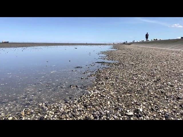 Nationalpark Niedersächsisches Wattenmeer/ Lower Saxony Wadden Sea National Park