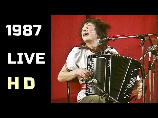 Раритетная запись - группа Ноль (Фёдор Чистяков) - 1987 - Парголово (СПб)