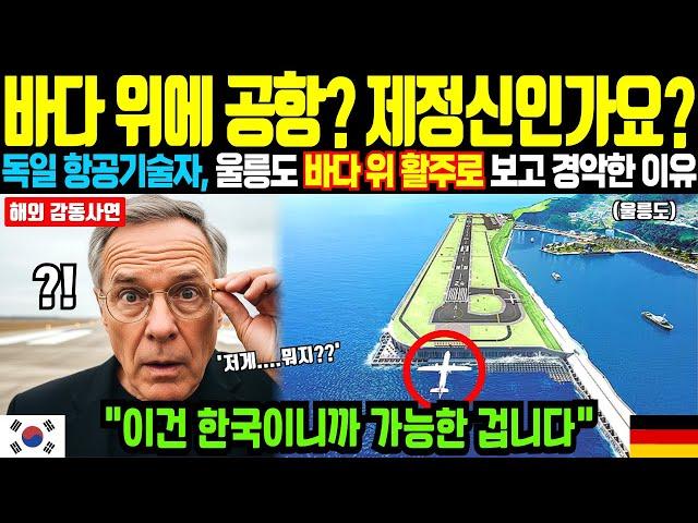 "바다 위에 공항?" 독일 항공기술자, 울릉도 바다위 활주로 보고 경악한 이유 | 해외감동사연 | 오디오북 |