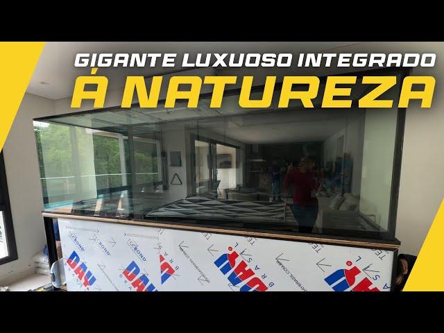 CONSTRUÍMOS UM AQUÁRIO DE 2500 LITROS EM ALPHAVILLE EM MEIO A NATUREZA!