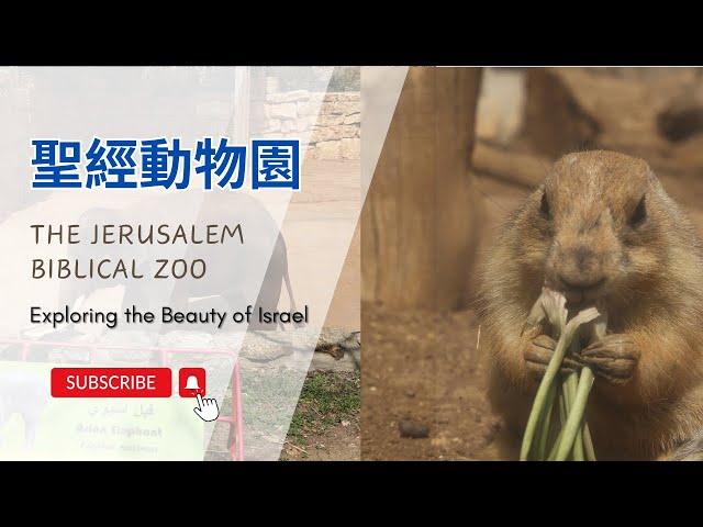 【以色列】耶路撒冷聖經動物園 | 亞洲旅遊 | Israel Travel | 自助旅行 | 行腳紀錄