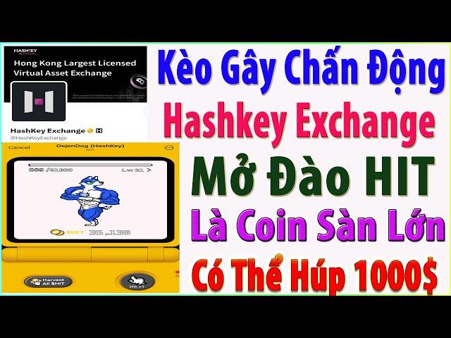 (HOT) Sàn Hashkey Exchange Gây Bão Blockchain _ Mở Đào HIT Token Và Rương HSK (Kèo Húp 1000$)