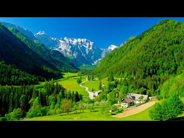 Great music and beautiful nature  Delicate music, calms the nervous system and pleases the soul
