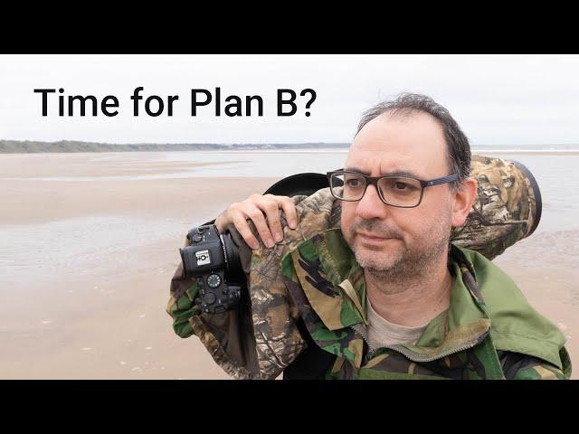 Bird Photography on the Coast - Why it's Good to Have a BACK-UP PLAN