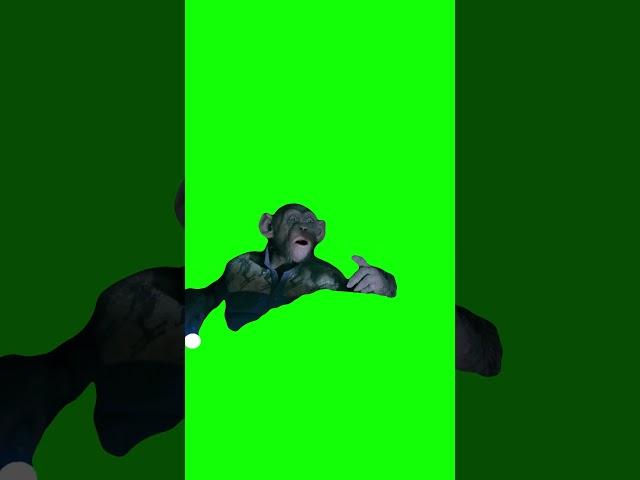 Monkey saying "OH NO!" meme - Green Screen - War for the Planet of the Apes