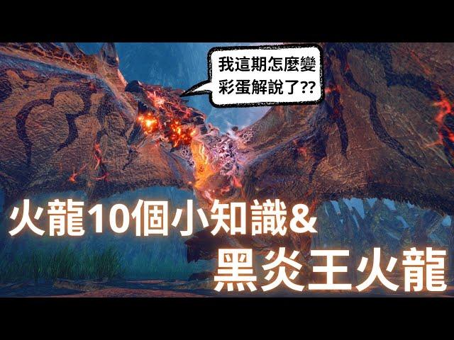 魔物獵人 黑炎王火龍，火龍的八卦/彩蛋，讓你完全了解火龍 | MH二名首領魔物解說系列