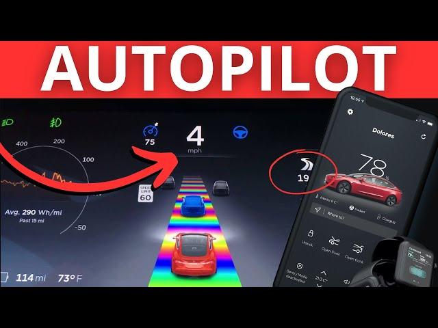 TOP 11 Tesla AutoPilot Tips