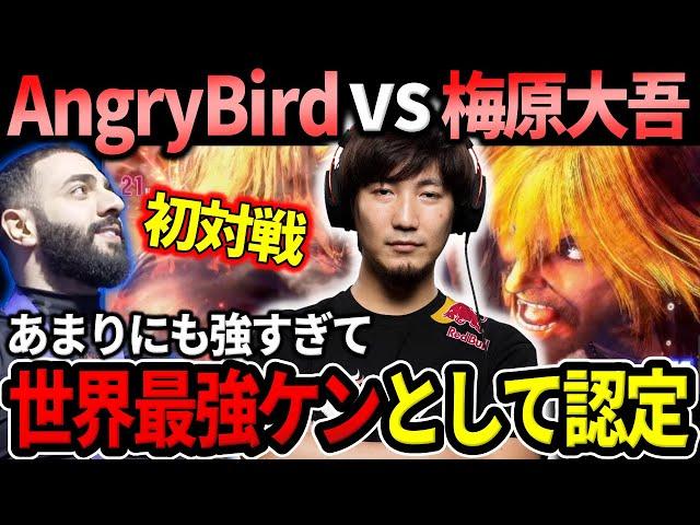 Daigo plays AngryBird for the first time: "This is the strongest Ken"【Daigo Umehara】【clip】