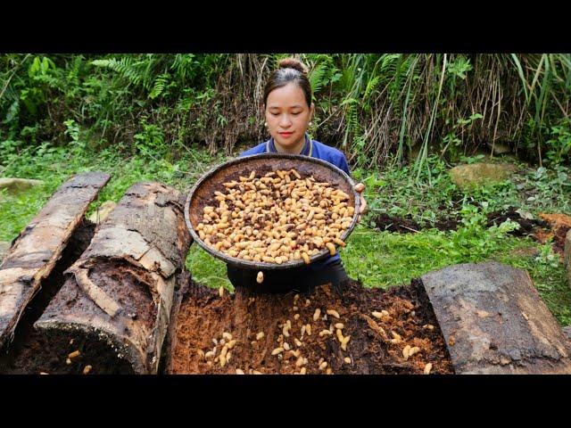 3 HOUR VIDEO: Harvest Sago Larvae, Fish, Fruit Goes to market sell - Cooking, Gardening - Ly thi Ca