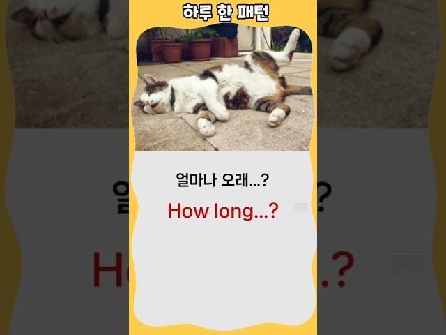 하루 한 패턴 #영어회화 #유용한영어표현 #영어 패턴