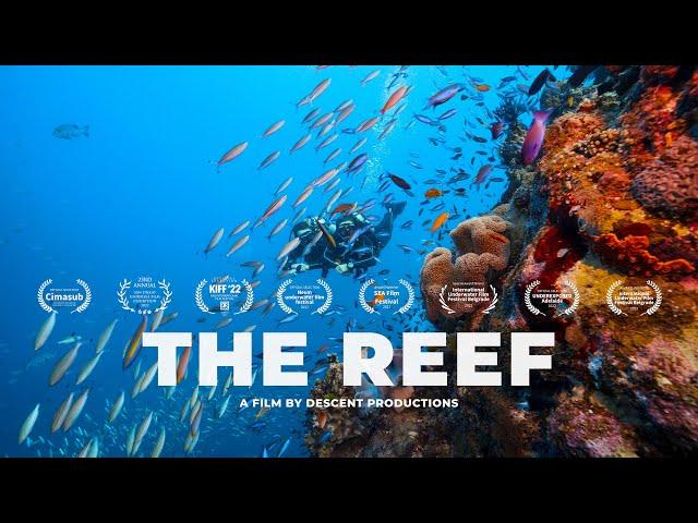 THE REEF | Underwater Short Film with Cinematographer Tom Park