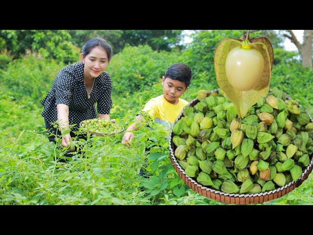 Have you ever try Cape Gooseberry Fruit cook in your homeland | How to cook cape gooseberry and eat